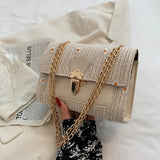 Small Crossbody Straw Handbag for Women Chain Shoulder Bag