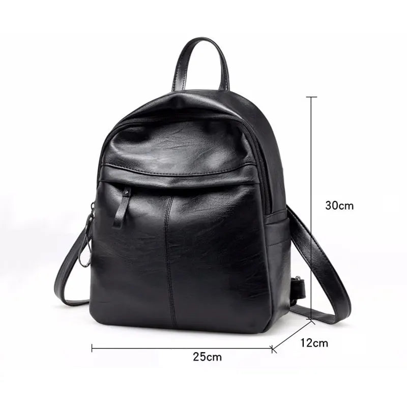Casual Women Backpack for Teen Girls School Laptop Shoulder Bag