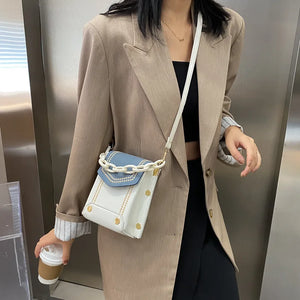 Autumn Mini Bag Handbag Hit Thick chain Single Shoulder crossbody bag