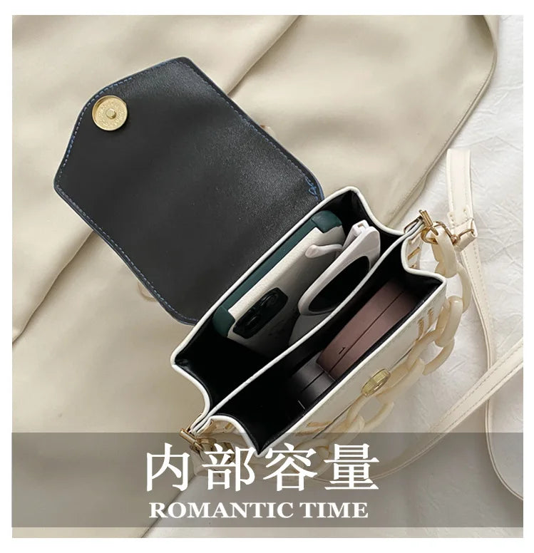 Autumn Mini Bag Handbag Hit Thick chain Single Shoulder crossbody bag