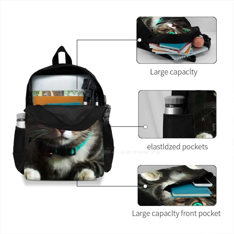 Cat 3D Print Backpack Casual Bag Cat Cat And Eyes Nose Face Cat