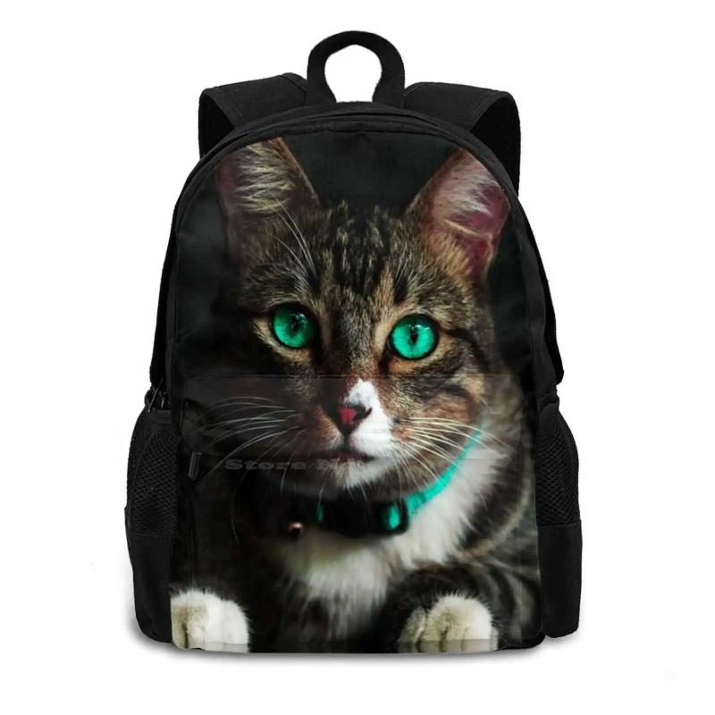 Cat 3D Print Backpack Casual Bag Cat Cat And Eyes Nose Face Cat