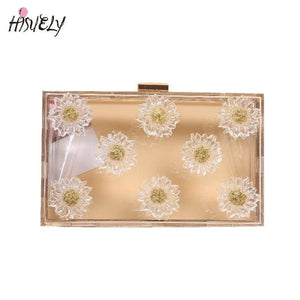 Clear Transparent Crossbody Bag Acrylic Handbags Small Chain Square Bag