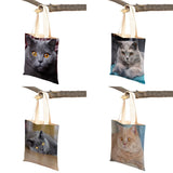 British Shorthair Casual Shopping Bag Women Double Print Cat Pet An