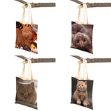 British Shorthair Casual Shopping Bag Women Double Print Cat Pet An
