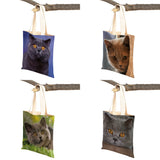 British Shorthair Casual Shopping Bag Women Double Print Cat Pet An