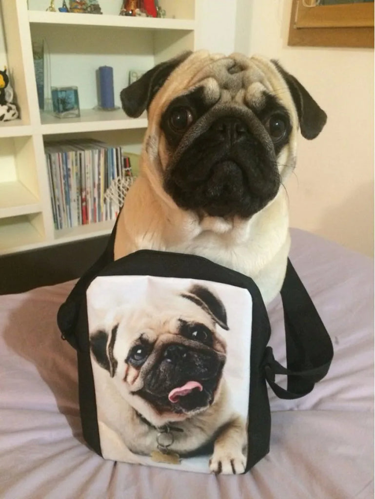 Cartoon Print Messenger Bag for Kids Girls Boys Small School Bag Women Mini