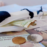 Cartoon Plush Coin Purse Wallet Pendant Data Line Pouch Lipstick Storage