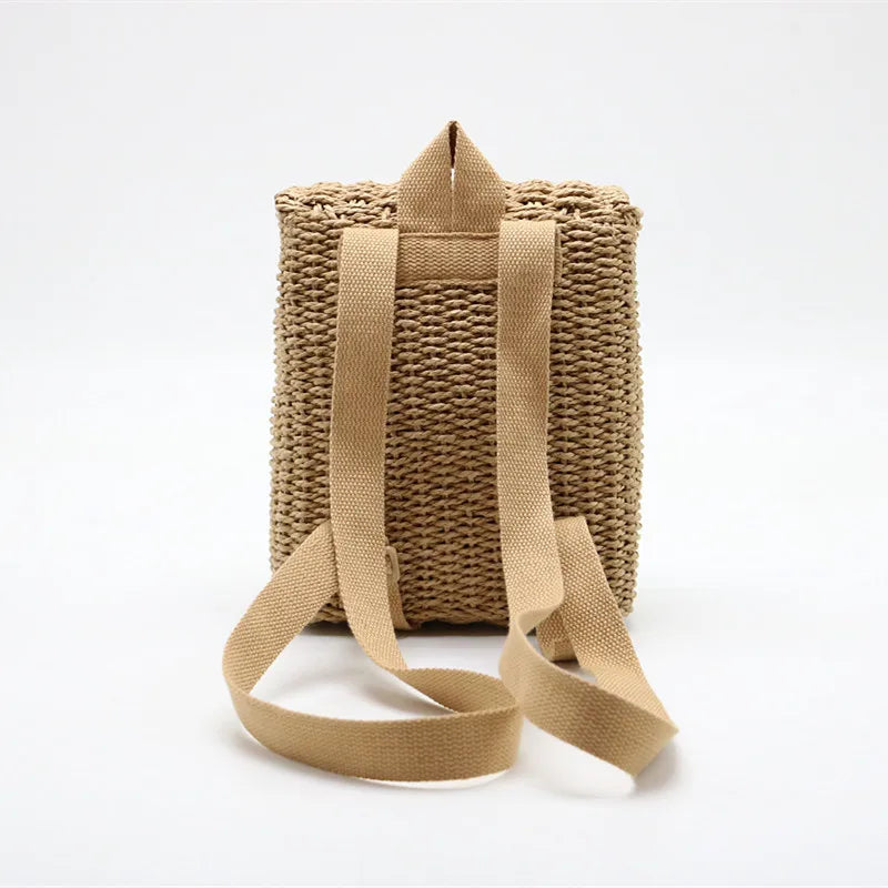 Embroidered Double Shoulder Straw Bag