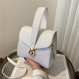French Style Small Square Bag for Spring