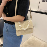 Summer Straw Square Bag Women Handbags Woven Hobo Beach Bag Acrylic Chain PU