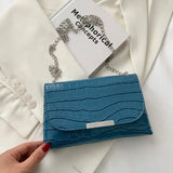 Animal Prints Crossbody Bag Chain Ladies Handbags