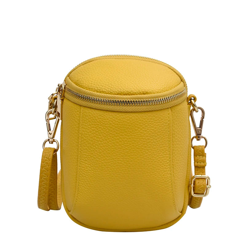 Small Leather Crossbody Bag for Women, 2 Zipper Casual Shoulder Messenger Handba