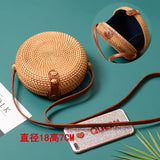 Woven Rattan Mini Shoulder Bag Vintage Summer Crossbody Bag