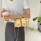 Small Square Bag Flap Chain Shoulder Bag