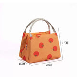 Solid Fruit Foods Container Bag Insulated Cooler Lunch Tote