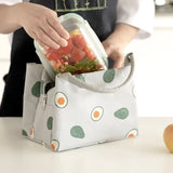 Solid Fruit Foods Container Bag Insulated Cooler Lunch Tote