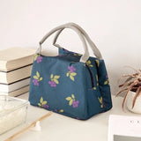 Solid Fruit Foods Container Bag Insulated Cooler Lunch Tote