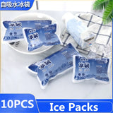 10PC Reusable Ice Packs for Pain Relief and Food Preservation