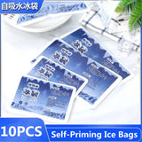 10PC Reusable Ice Packs for Pain Relief and Food Preservation