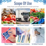 10PC Reusable Ice Packs for Pain Relief and Food Preservation