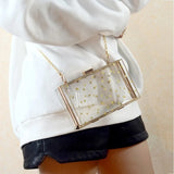 Moonlight Top Purse Frame Plastic Clutches Evening Handbag