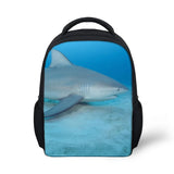 Dinosaur Preschool Packie Backpack for Kids Boys Shark bag