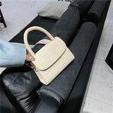 Mini Square Bag Crocodile Pattern Handbag