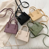 Mini Crossbody Bag Faux Leather Shoulder Classic Stone Pattern Purse