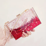 Transparent Liquid Bag Female Mini Clutch Bag