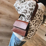 Small Square Shoulder Messenger Bag for Women