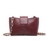 Snake Skin Chain Bag Mini Square Wallet Messenger Bag