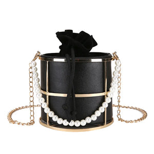 Women's Mini Bird Cage Crossbody Wallet Clutch Bag