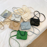 Women Shoulder Bag Small Chain Handbags Crossbody Bags