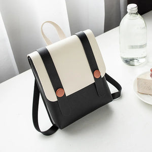 College Style Mini Backpack Shoulder Bag