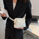 Women's Crossbody Bag Waist Pack Casual Shopping Shoulder Bag Small Pocket