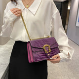 Shoulder Bag Chains Messenger Bag Girls Handbag Leisure Personality Small