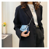 Mini Chain Shoulder Bag Messenger Bag Spring and Summer Women's Bags