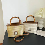 Summer Bamboo Handle Braided Bag Cross Body Bag