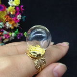 20 Sets 20*15mm Glass Globe Ring Flower Tray Finding Set