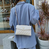 ASHINE Small Clutch Bag Chains Butterfly Handbag for Women