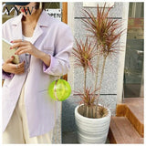 Clear Round Ball Shoulder Bag Mini Crossbody Clutch PVC Tote Handbag
