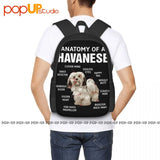 Havanese Dog Dad Backpack - Large Capacity Eco-Friendly Bag