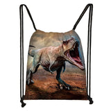 Ancient Animal Dinosaur Backpack Canvas Drawstring Bag