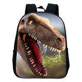 Dinosaur Backpack Kid's School Bag Toddler Pattern Kindergarten Boys