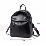 Casual Women Backpack for Teen Girls School Laptop Shoulder Bag