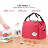 Insulated Canvas Lunch Bag for Men Women Kids
