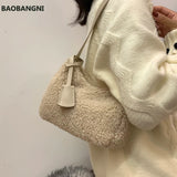 Autumn Winter Lamb Wool Bag Women's Single Shoulder Plush