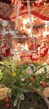 Square Clear Acrylic Dinner Bag for Women Cross Bag