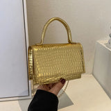 Vintage High Solid Leisure Chain Handbags For Women